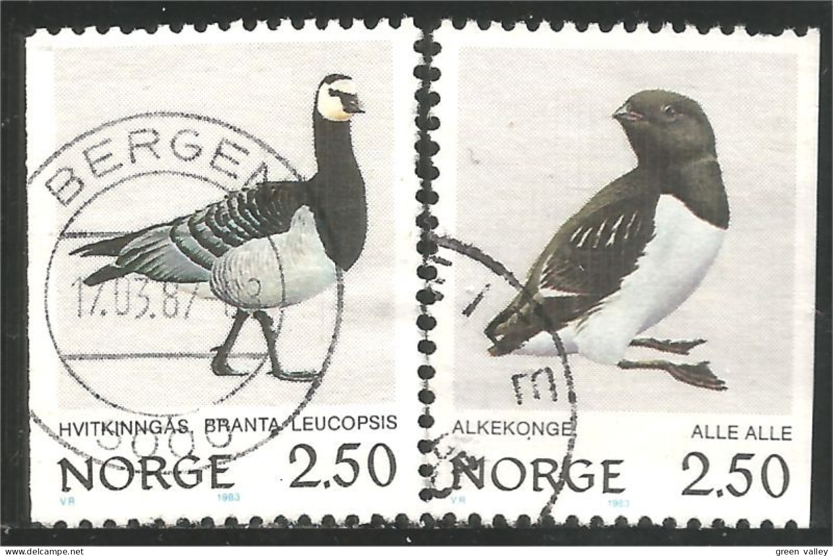 690 Norway Oiseau Bird Vogel Uccello Oie Goose Gans Oca Ganso Little Auk Krabbentaucher Kleine Alk (NOR-361d) - Usados