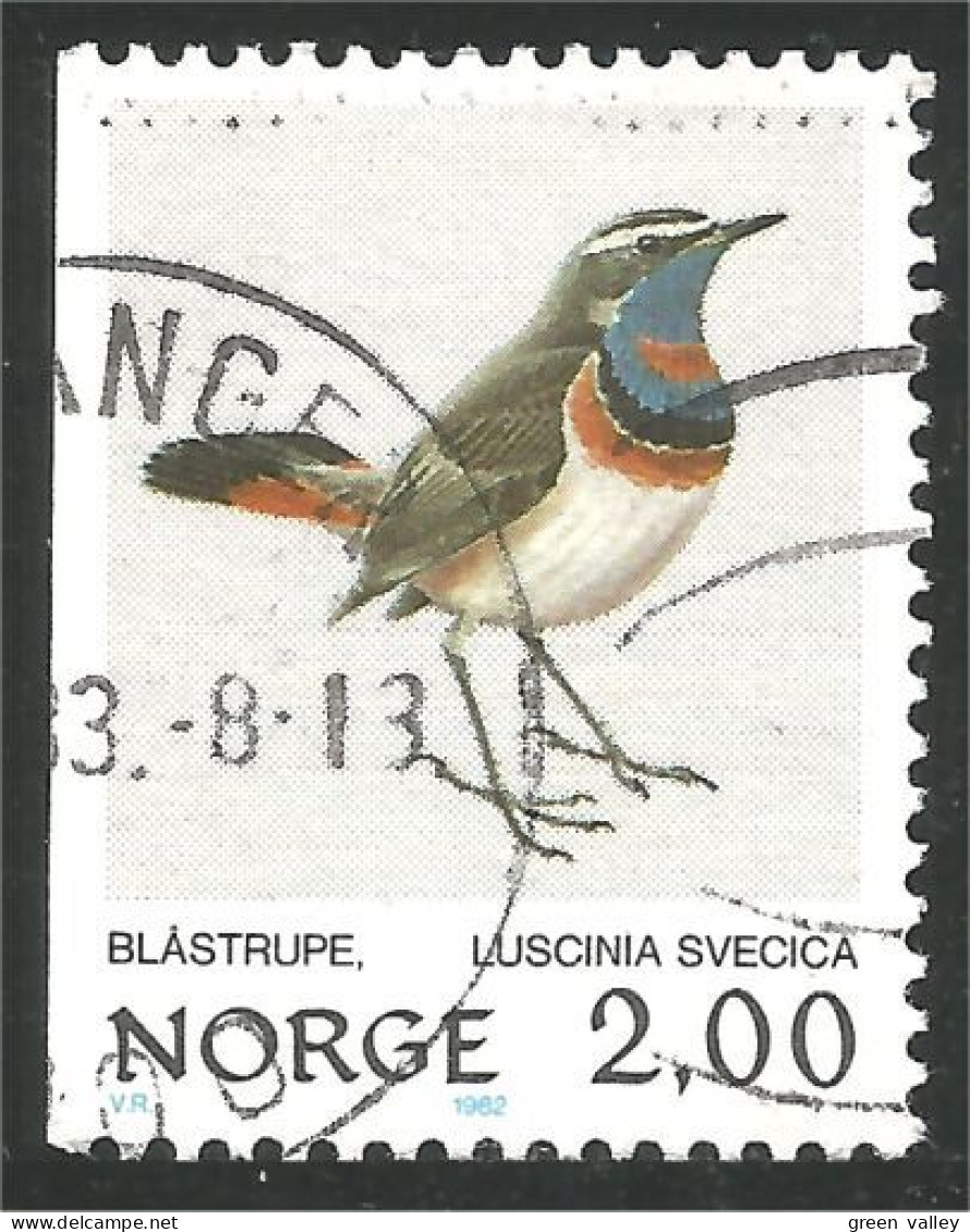 690 Norway Oiseau Bird Vogel Uccello Blue-throat (NOR-354c) - Other & Unclassified