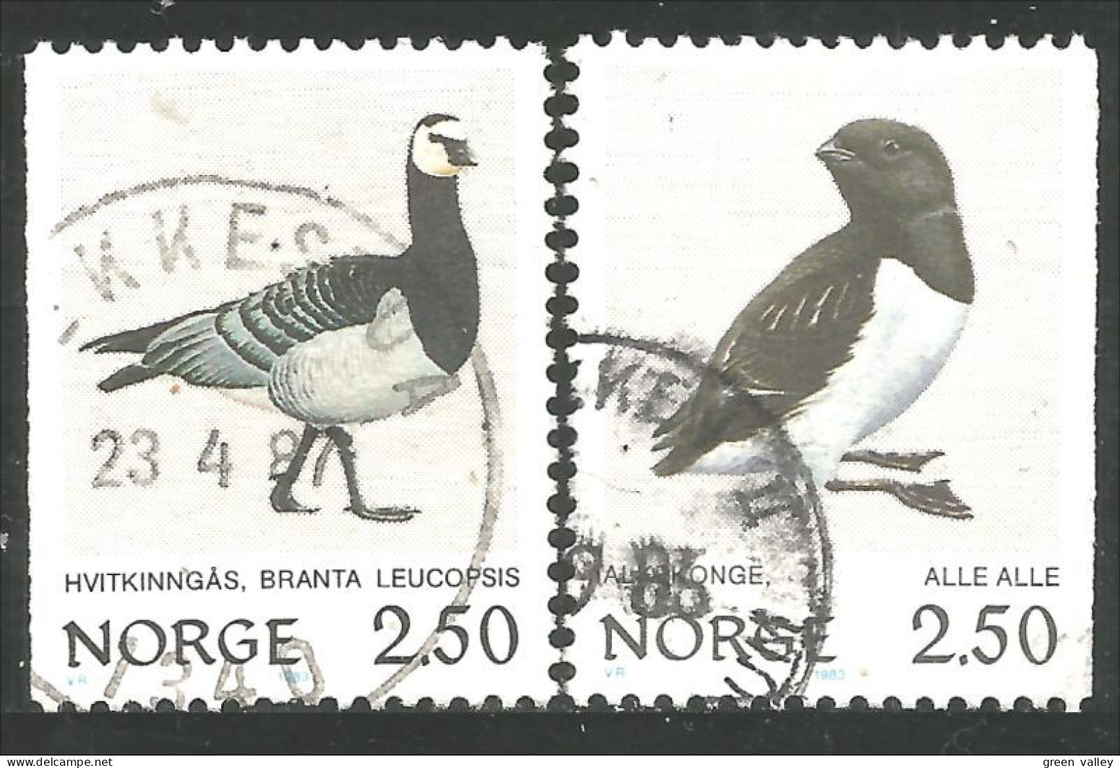 690 Norway Oiseau Bird Vogel Uccello Oie Goose Gans Oca Ganso Little Auk Petit Pingouin Kleine Alk (NOR-361c) - Other & Unclassified