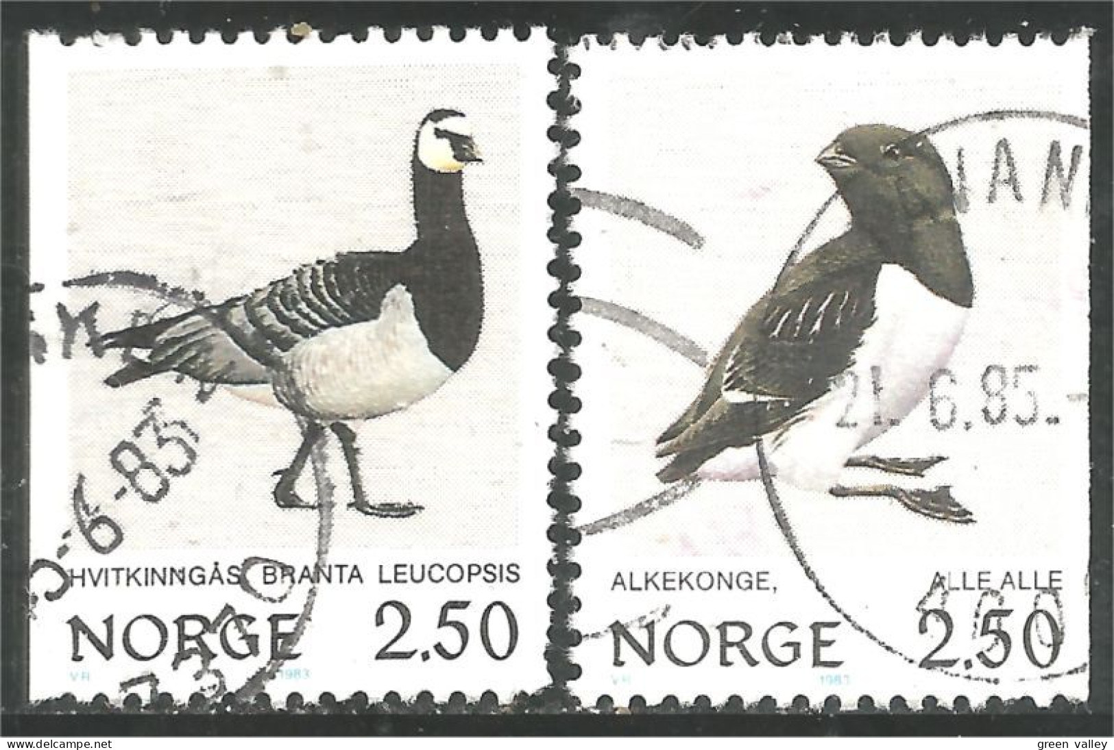 690 Norway Oiseau Bird Vogel Uccello Oie Goose Gans Oca Ganso Little Auk Petit Pingouin Krabbentaucher (NOR-361b) - Other & Unclassified