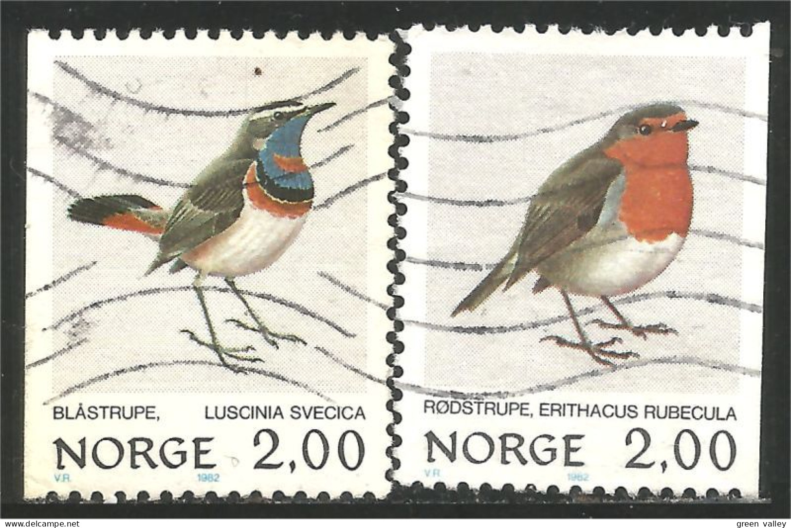 690 Norway Oiseau Bird Vogel Uccello Blue-throat Robin Rouge-gorge (NOR-353b) - Other & Unclassified