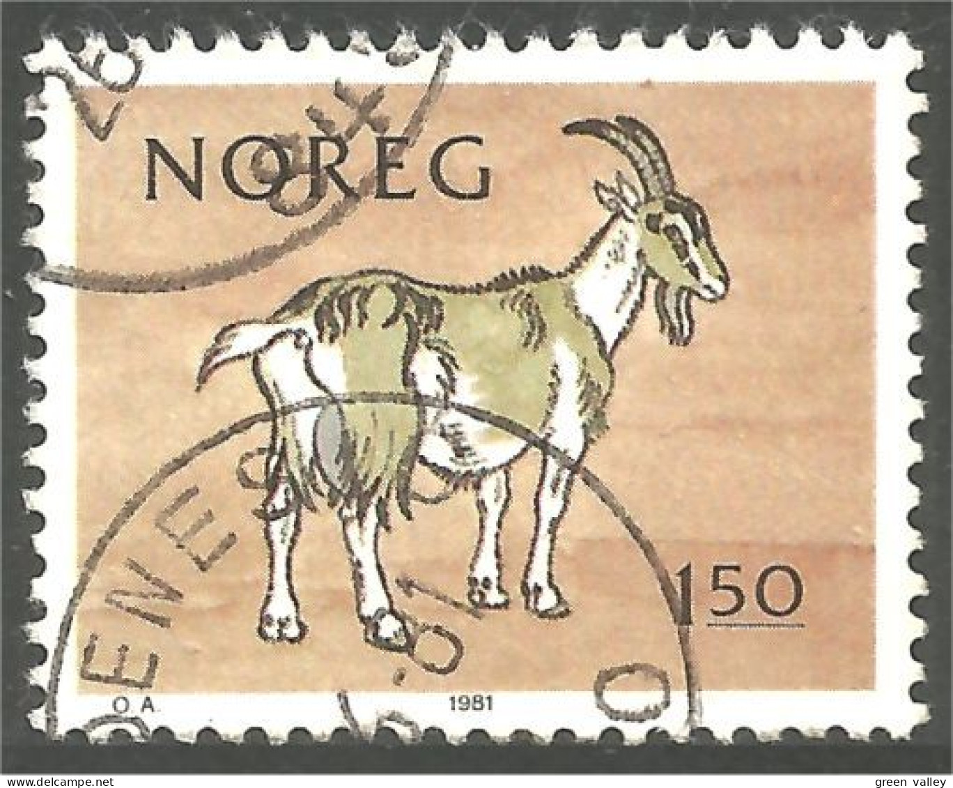 690 Norway Chévre Goat Ziege Cabri Capri (NOR-345d) - Other & Unclassified