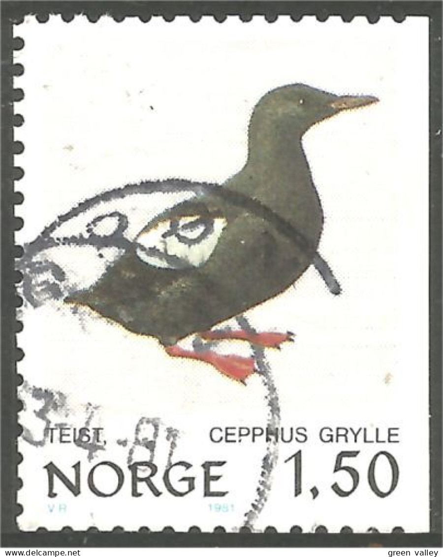 690 Norway Oiseau Bird Vogel Uccello Puffin (NOR-344c) - Other & Unclassified