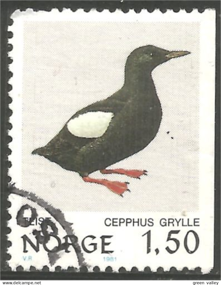 690 Norway Oiseau Bird Vogel Uccello Puffin (NOR-344b) - Other & Unclassified