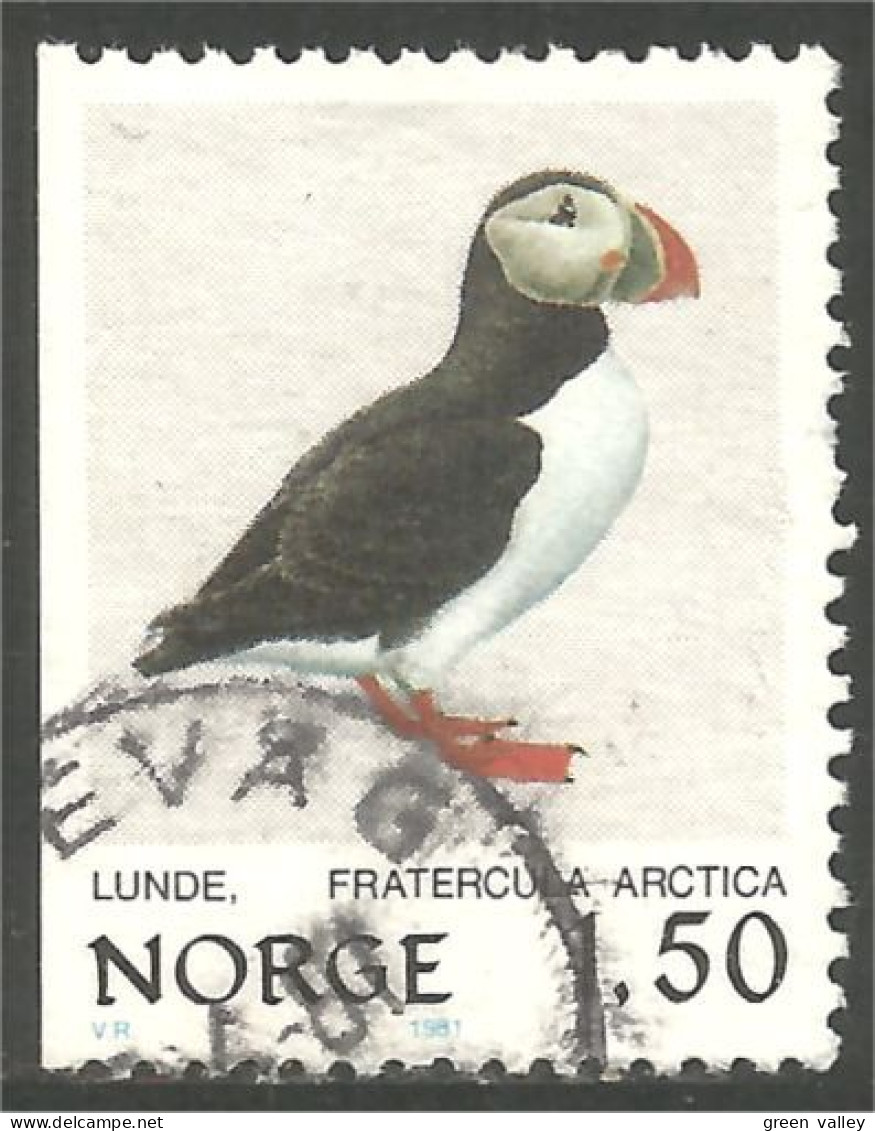 690 Norway Oiseau Bird Vogel Uccello Guillemot (NOR-343b) - Other & Unclassified