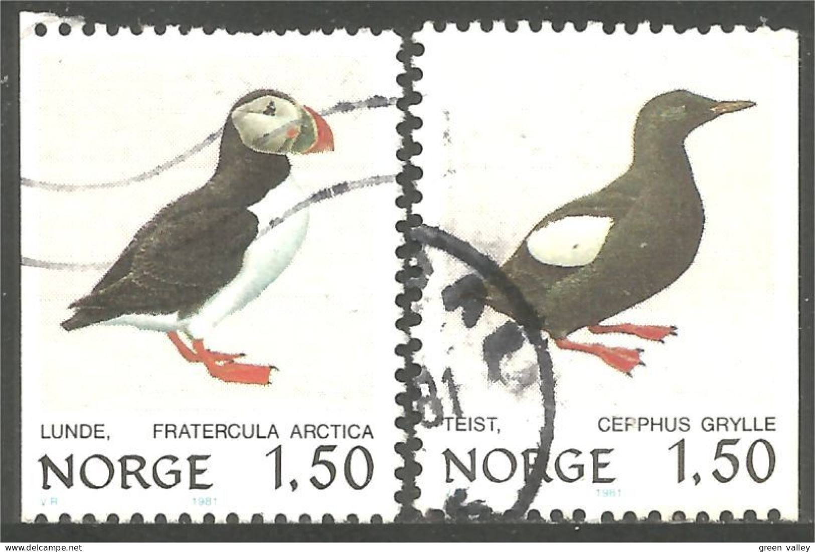 690 Norway Oiseau Bird Vogel Uccello Guillemot Puffin (NOR-342) - Other & Unclassified