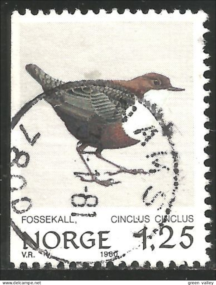 690 Norway Oiseau Birds Vogel Uccello Great Tit (NOR-326d) - Other & Unclassified