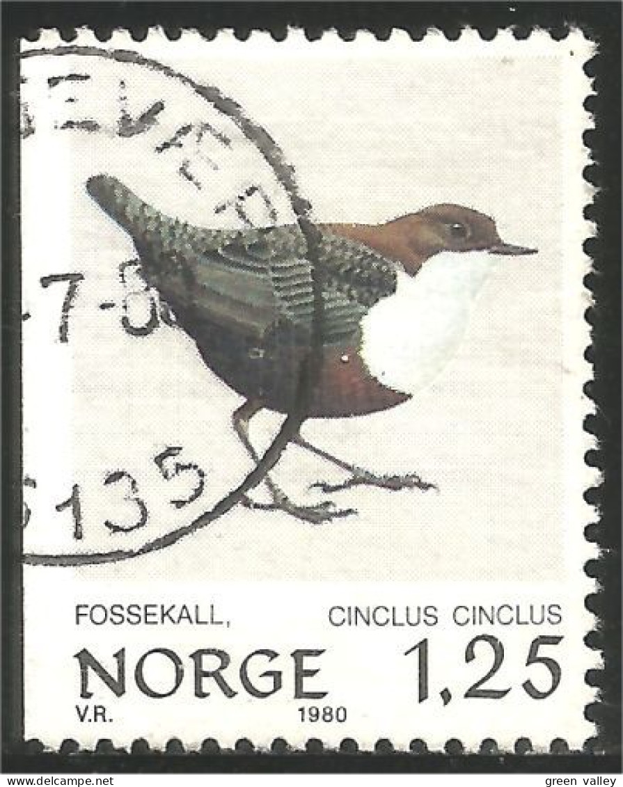 690 Norway Oiseau Birds Vogel Uccello Great Tit (NOR-326c) - Other & Unclassified