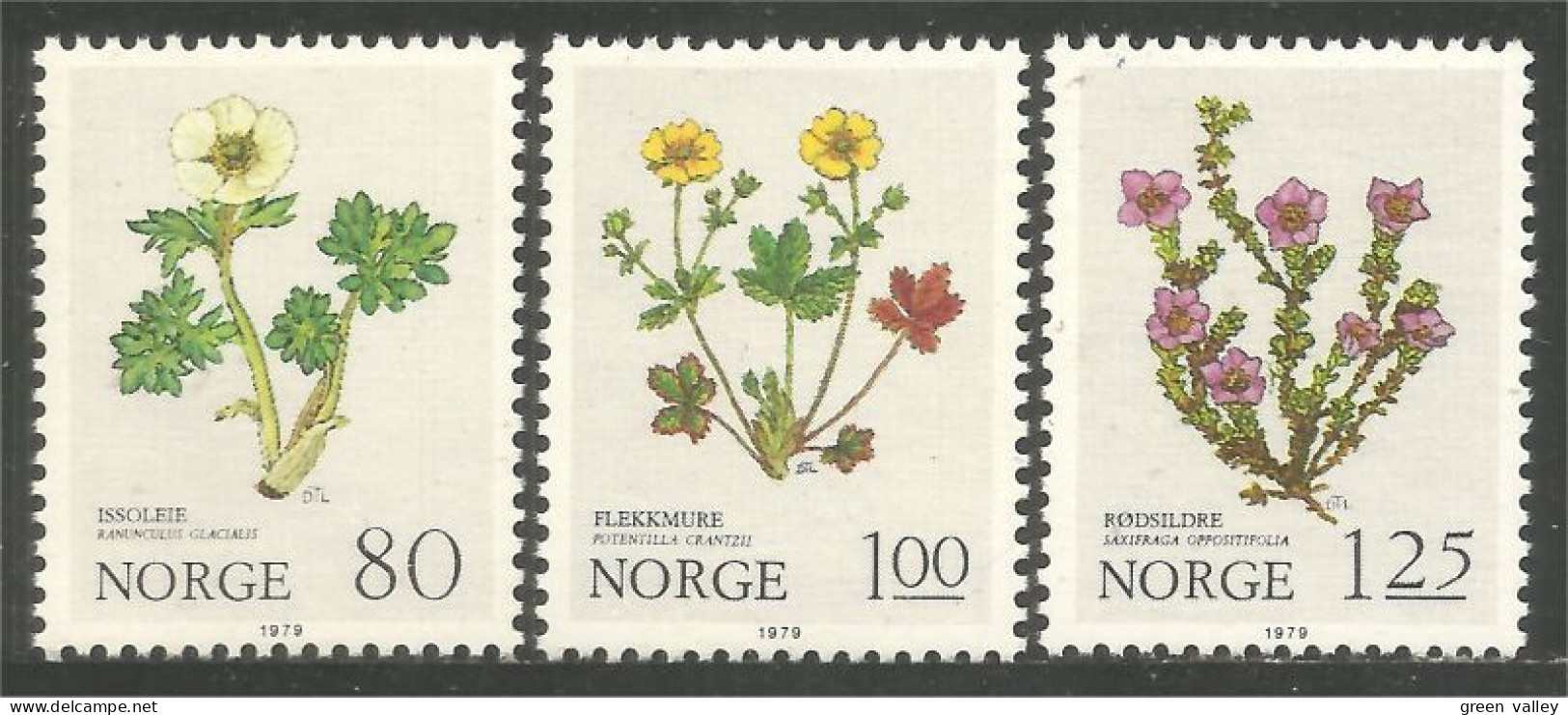 690 Norway Fleurs Montagne Mountain Flowers Blume Renoncule MNH ** Neuf SC (NOR-292) - Neufs