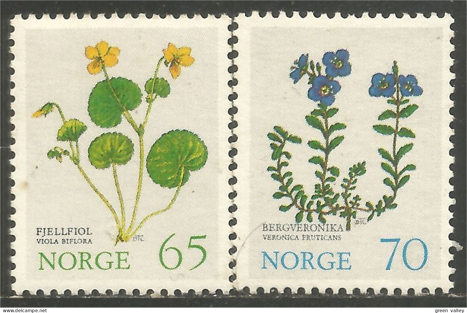 690 Norway Fleurs Flowers Blume Violet Violette Veronica MNH ** Neuf SC (NOR-290) - Unused Stamps