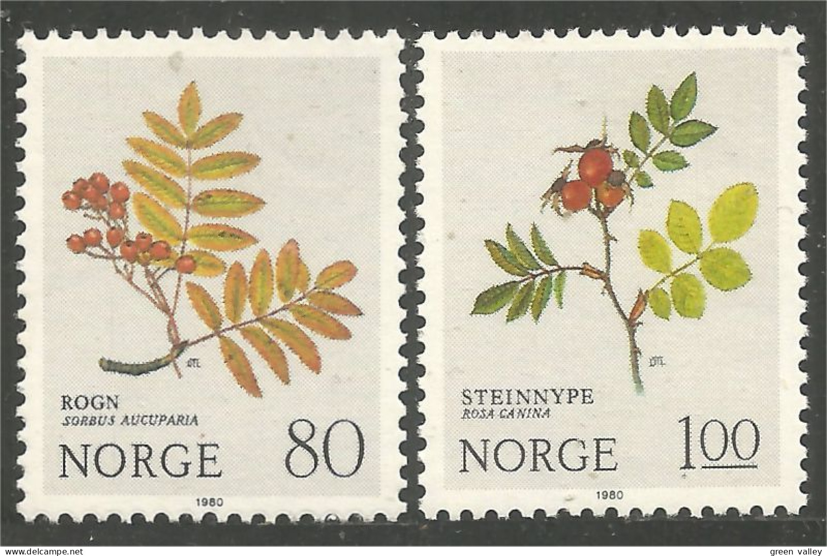690 Norway Fleurs Montagne Mountain Flowers Blume Rose Sorbier Sorbus MNH ** Neuf SC (NOR-293) - Neufs