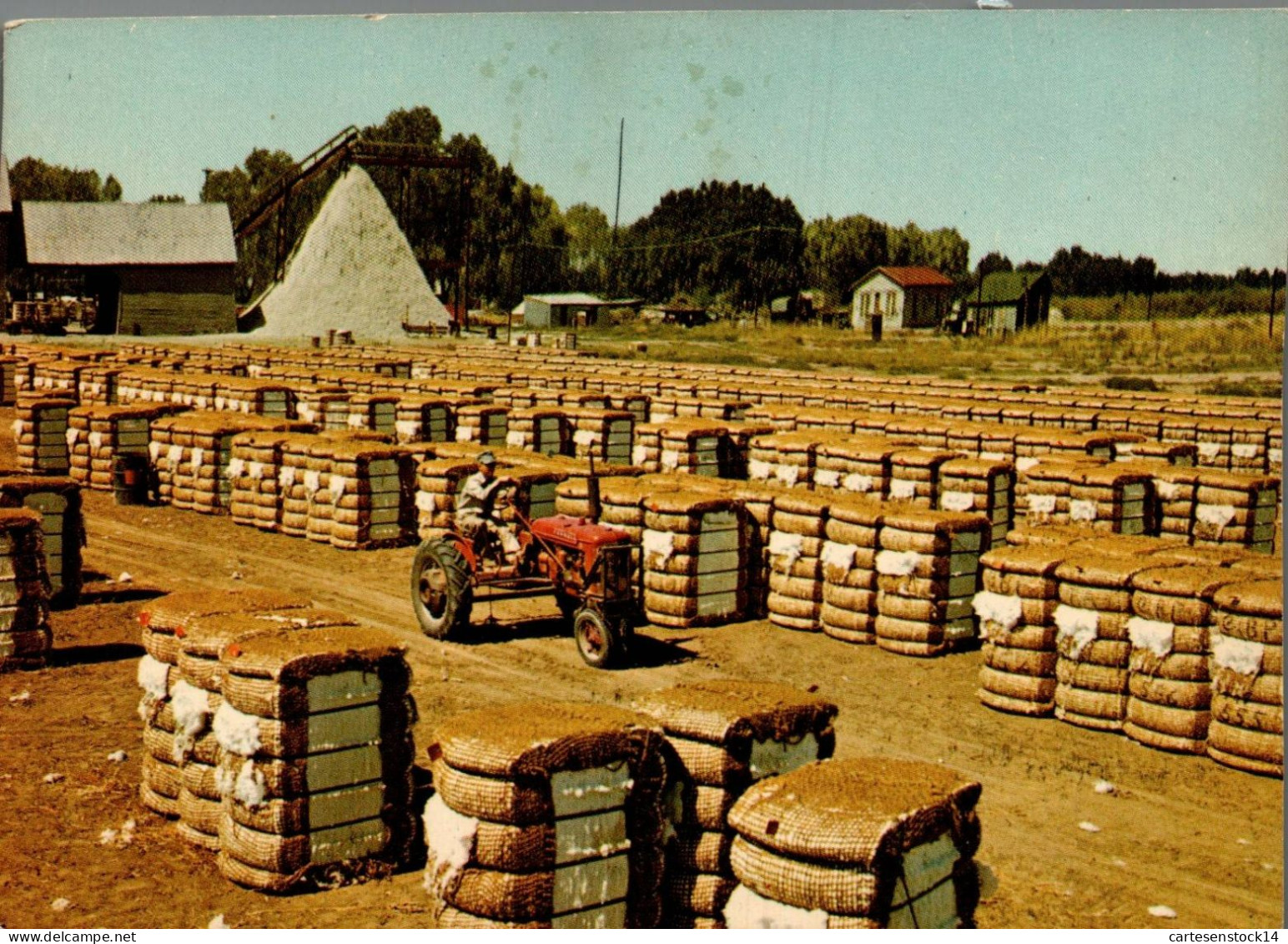 N°42251 Z -cpa Mississipi - Sales Of Cotton -tracteur - Tracteurs