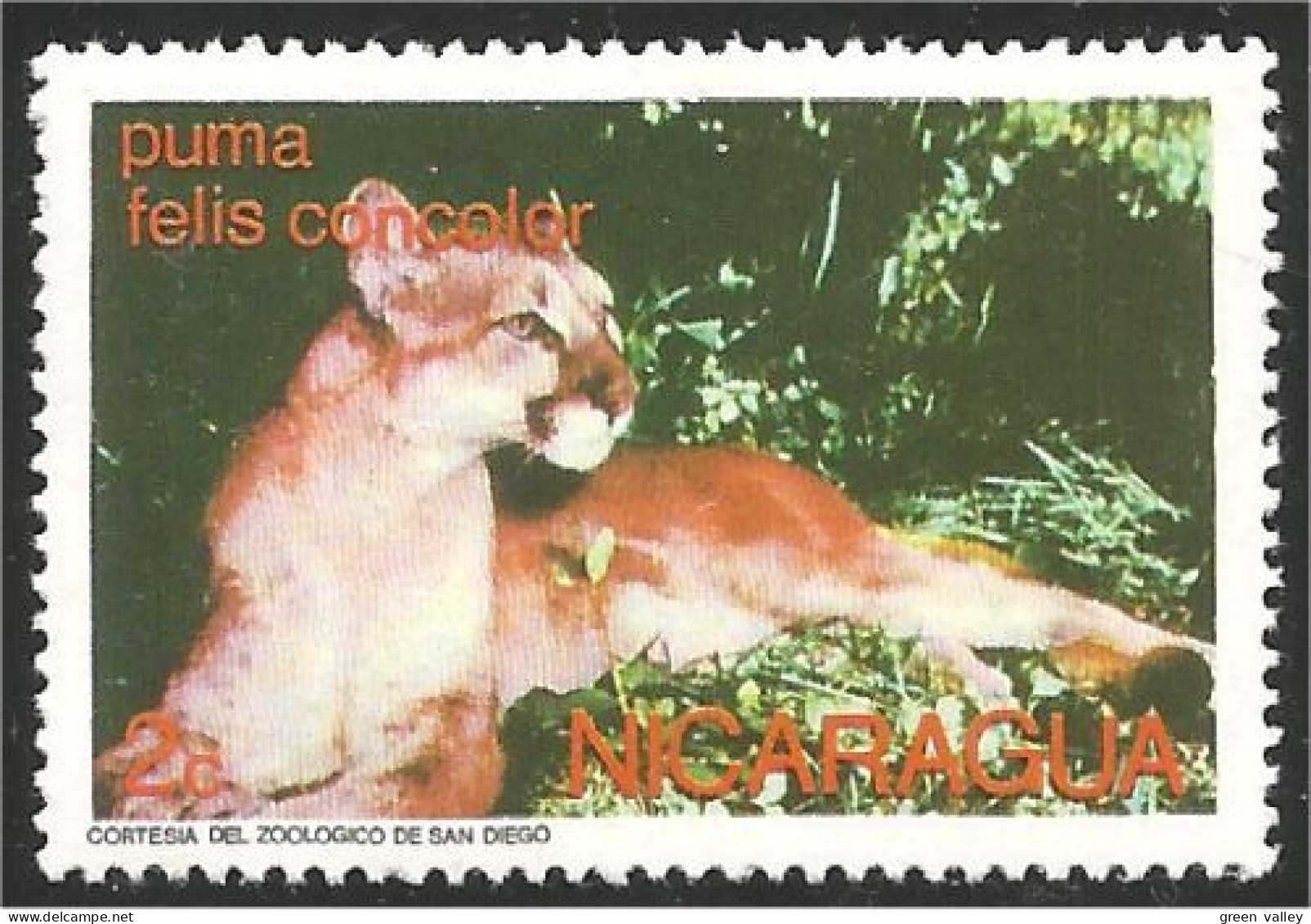 684 Nicaragua Puma Félin Feline MH * Neuf (NIC-503) - Big Cats (cats Of Prey)