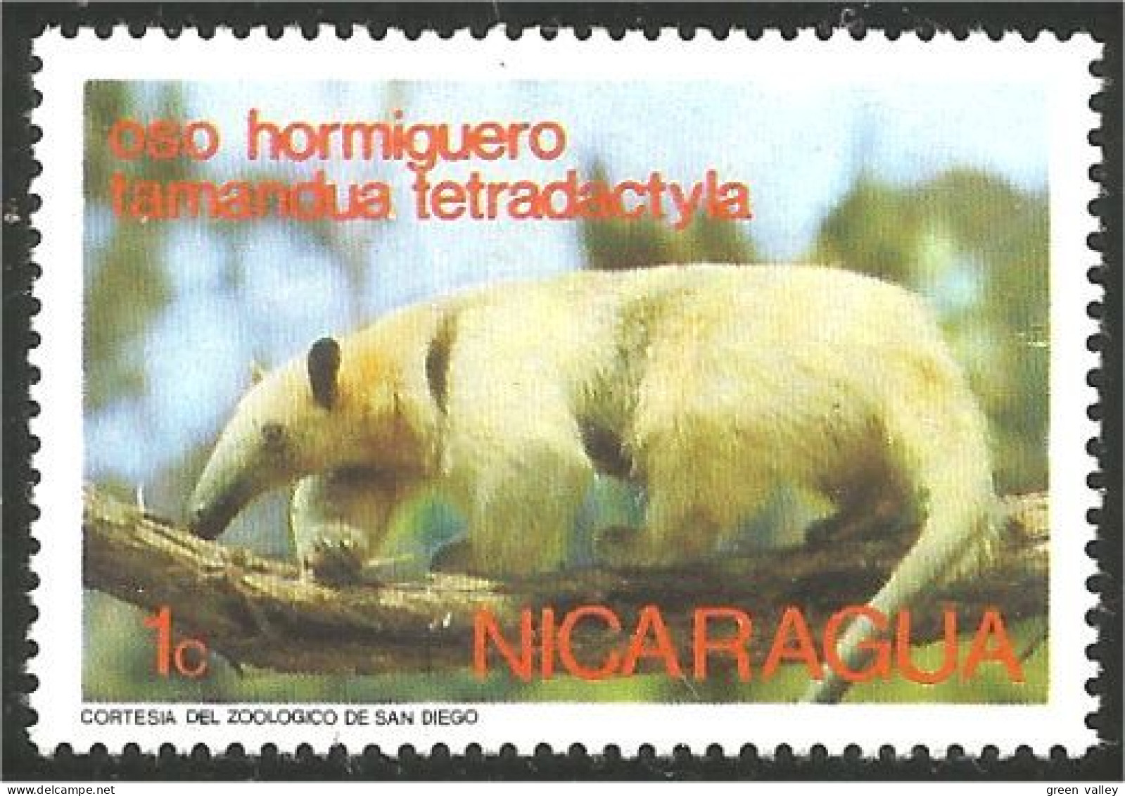 684 Nicaragua Oso Hormiguero Anteater Fourmilier MNH ** Neuf SC (NIC-502a) - Nicaragua