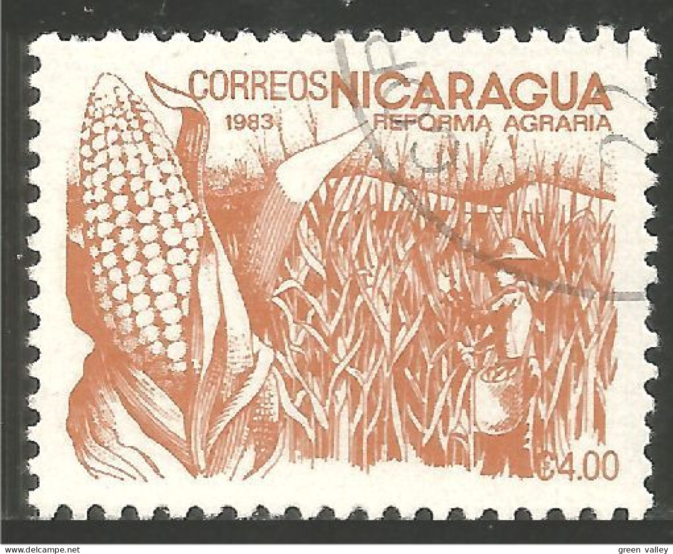 684 Nicaragua Mais Corn Mai Maize Maïs (NIC-478a) - Agricoltura