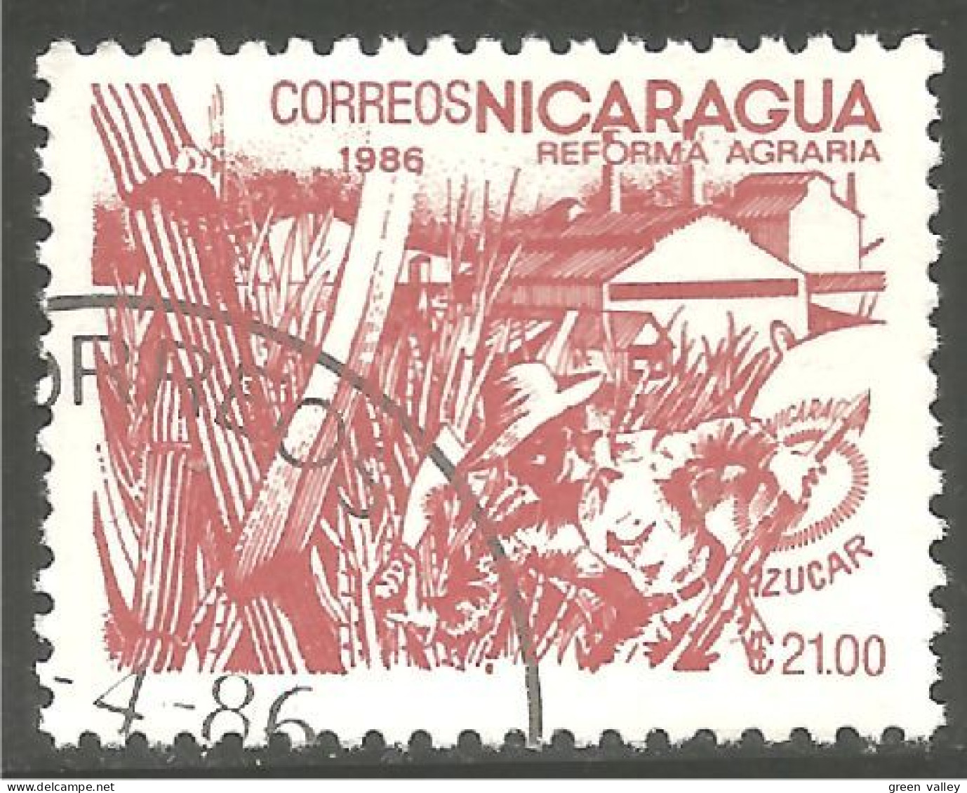 684 Nicaragua Canne Sucre Sugar Cane Zucker Azucar Suiker Zucchero (NIC-475) - Food
