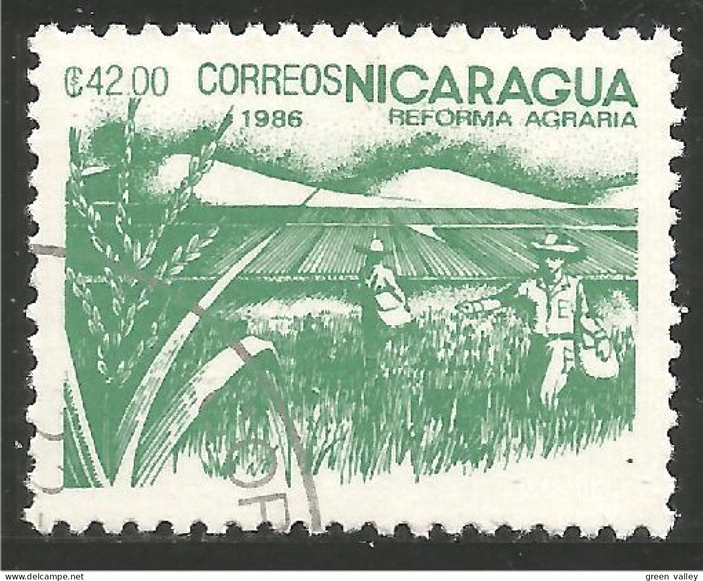 684 Nicaragua Riz Rice Paddy Arroz Reis Rijst Riso (NIC-477b) - Levensmiddelen