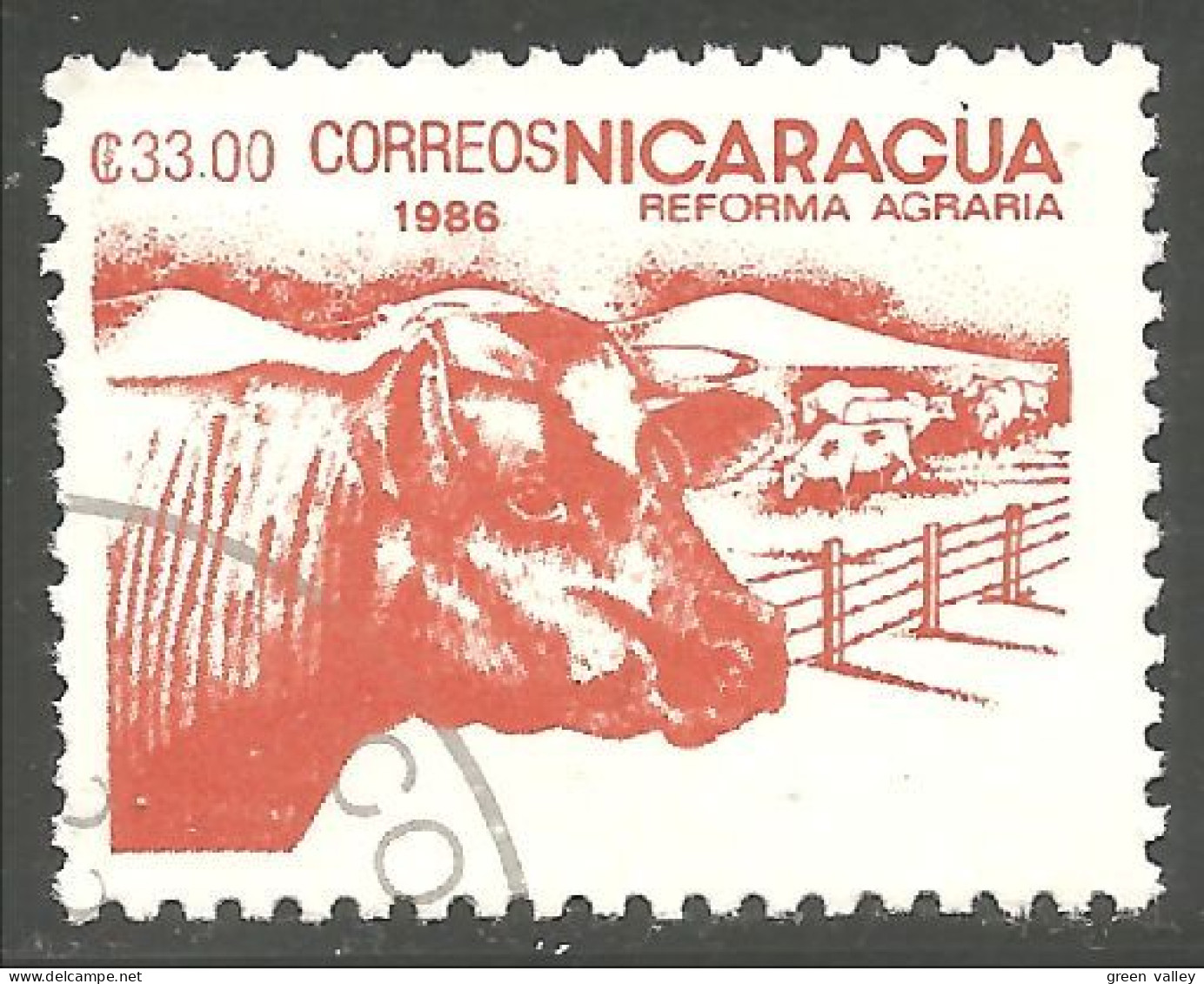 684 Nicaragua Vache Cow Vaca Kuh Koe Mucca Vacca Boeuf Beef O (NIC-476) - Mucche