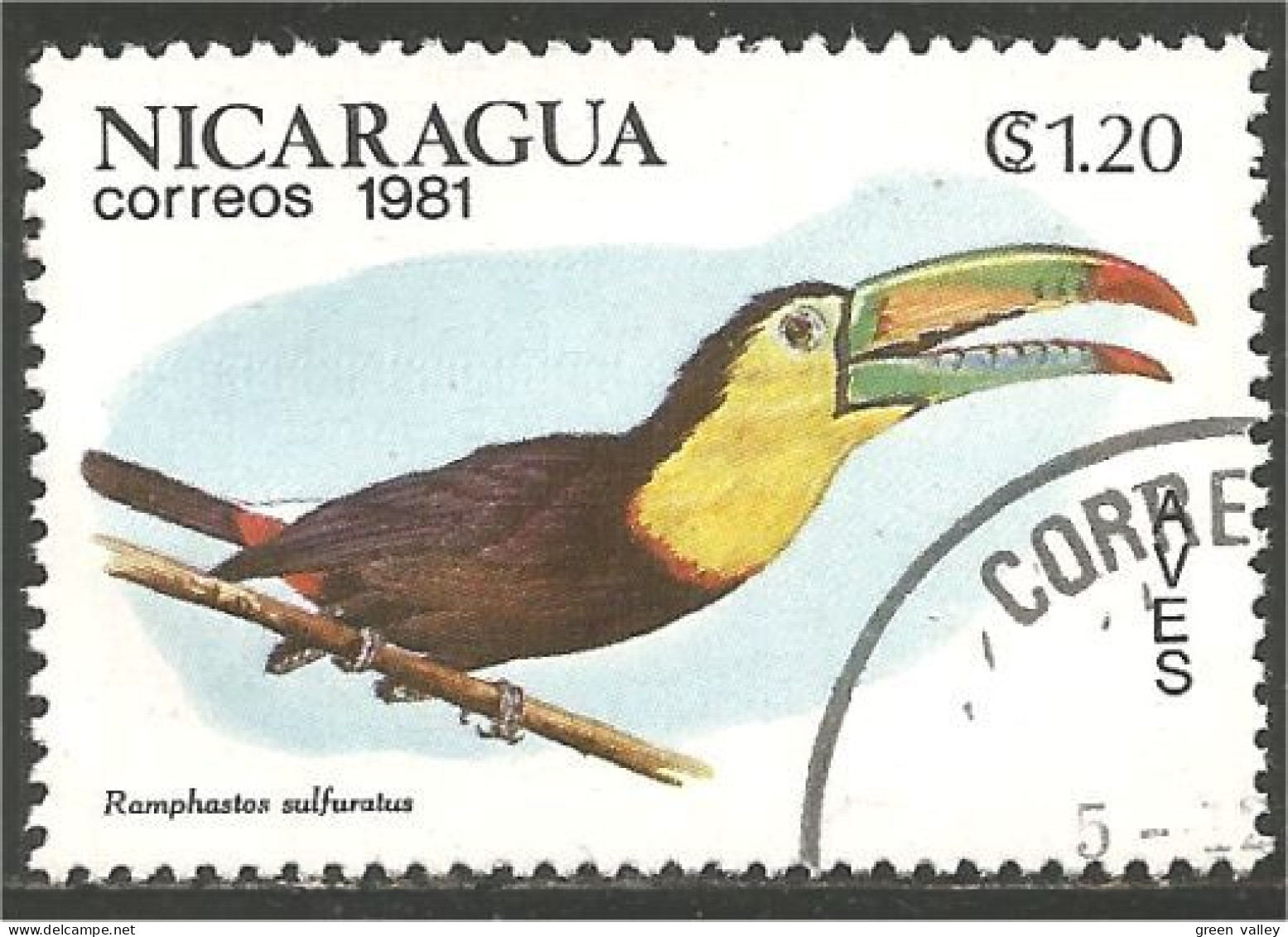 684 Nicaragua Toucan Tukan Tucan Tucano (NIC-441) - Cuco, Cuclillos