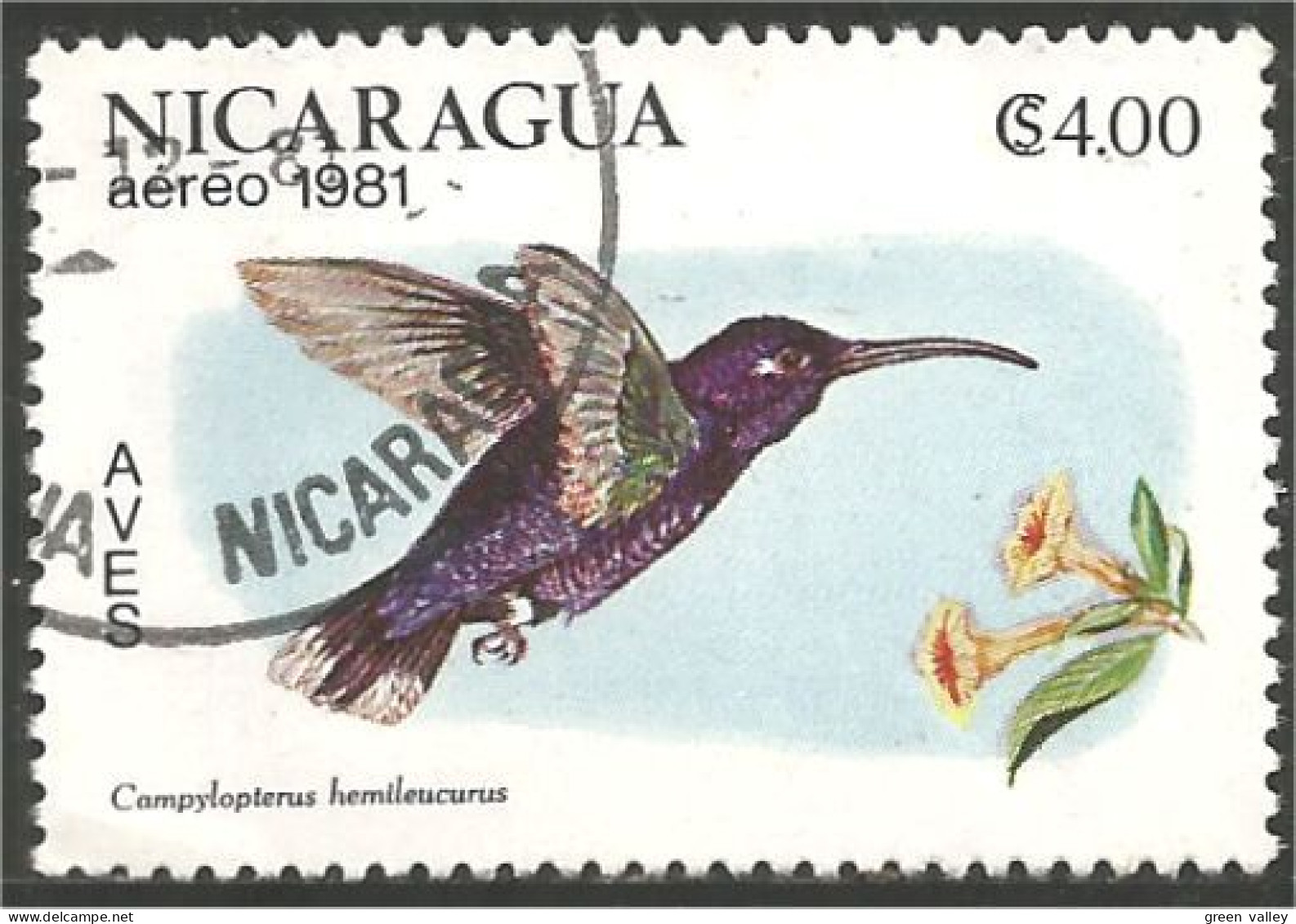 684 Nicaragua Oiseau-mouche Colibri Hummingbird Kolibrie Kolibri (NIC-439) - Colibrì