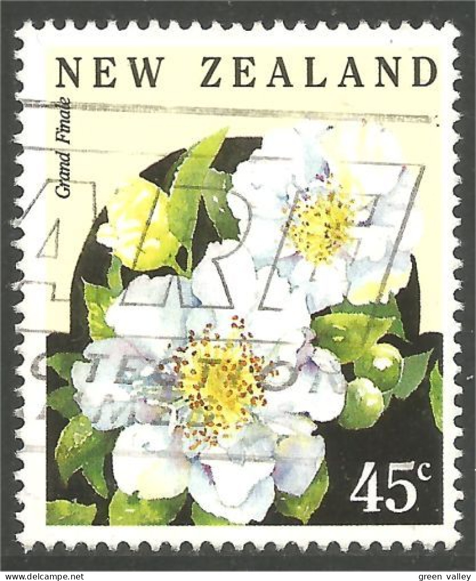 706 New Zealand Fleur Flower Blume Camelia Camellia (NZ-157a) - Usados