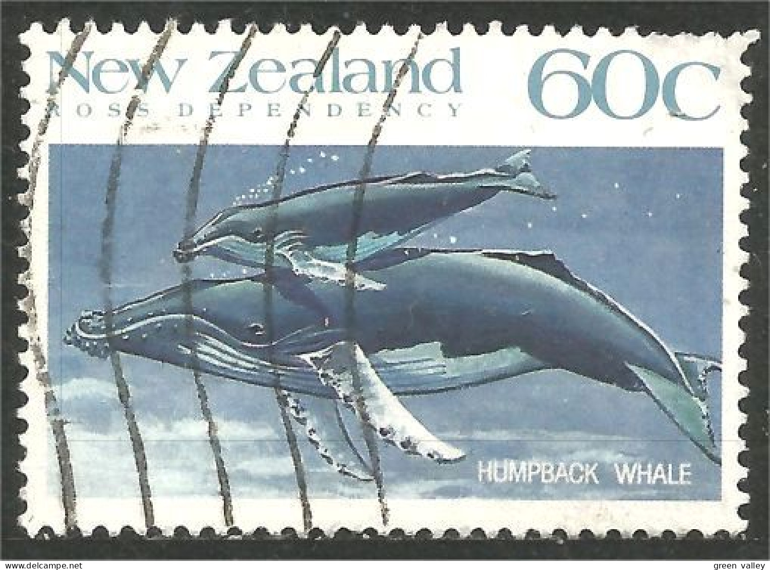 706 New Zealand Baleine Humpback Whale Whal (NZ-148) - Whales
