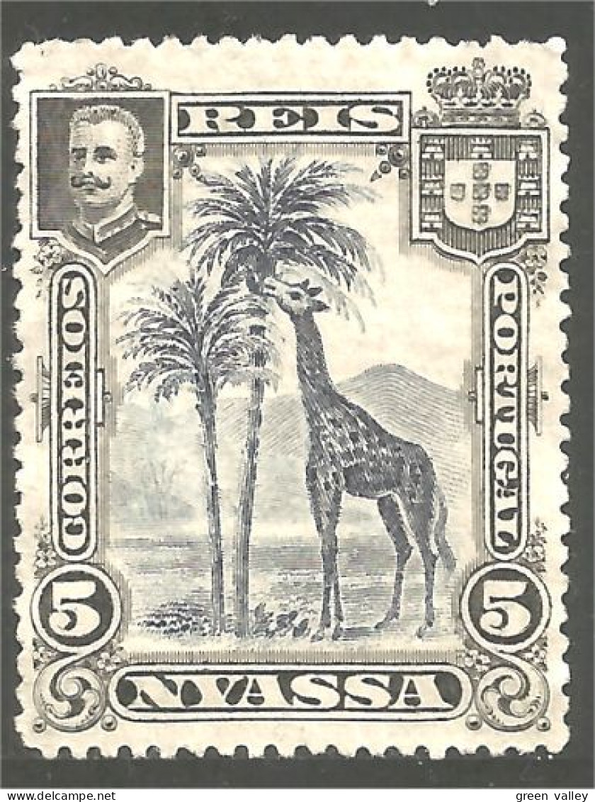 702 Nyassa 1901 Girafe Giraffe Girafa Jirafa No Gum (NSS-37) - Girafes