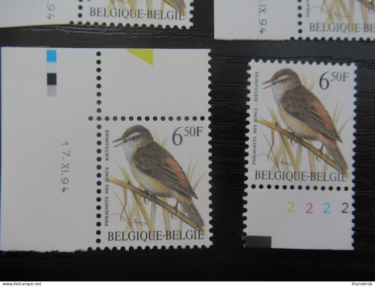 2577 'Buzin: Rietzanger' - Hoekdatums En Plaatnummer - Postfris ** - 1985-.. Oiseaux (Buzin)