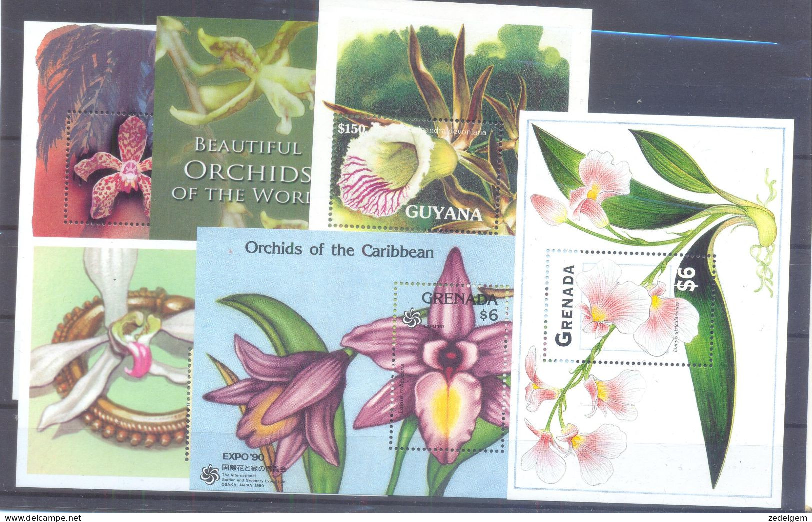ORCHIDEE   (K008) XC - Collections (sans Albums)