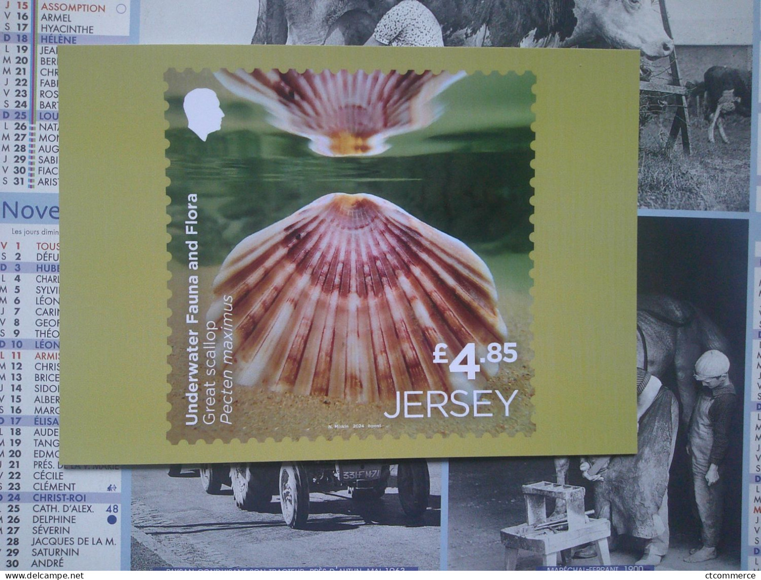Jersey, 9 Cartes, Postale, Underwater Fauna & Flora, La Faune Et La Flore Sous-marines, - Jersey