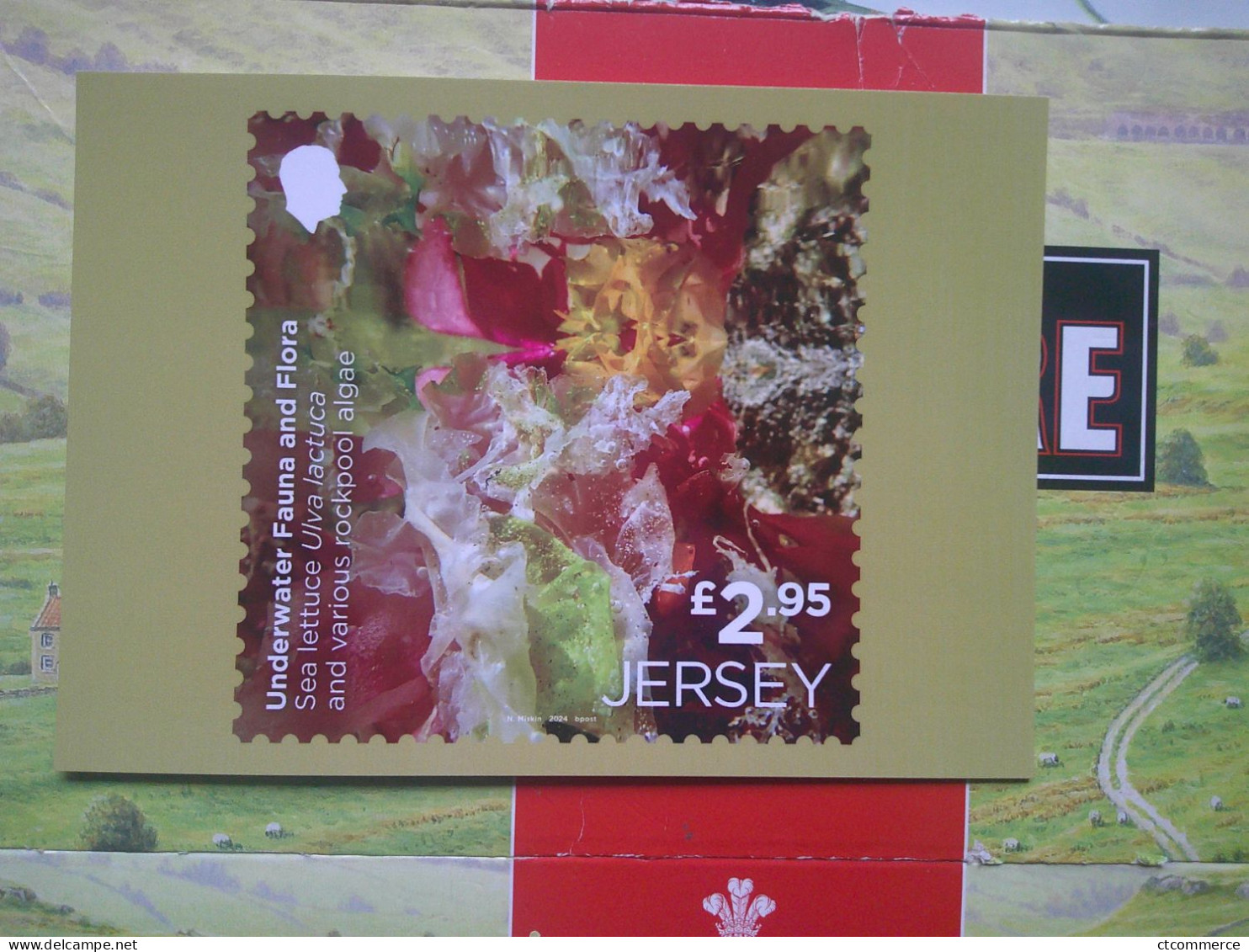 Jersey, 9 Cartes, Postale, Underwater Fauna & Flora, La Faune Et La Flore Sous-marines, - Jersey