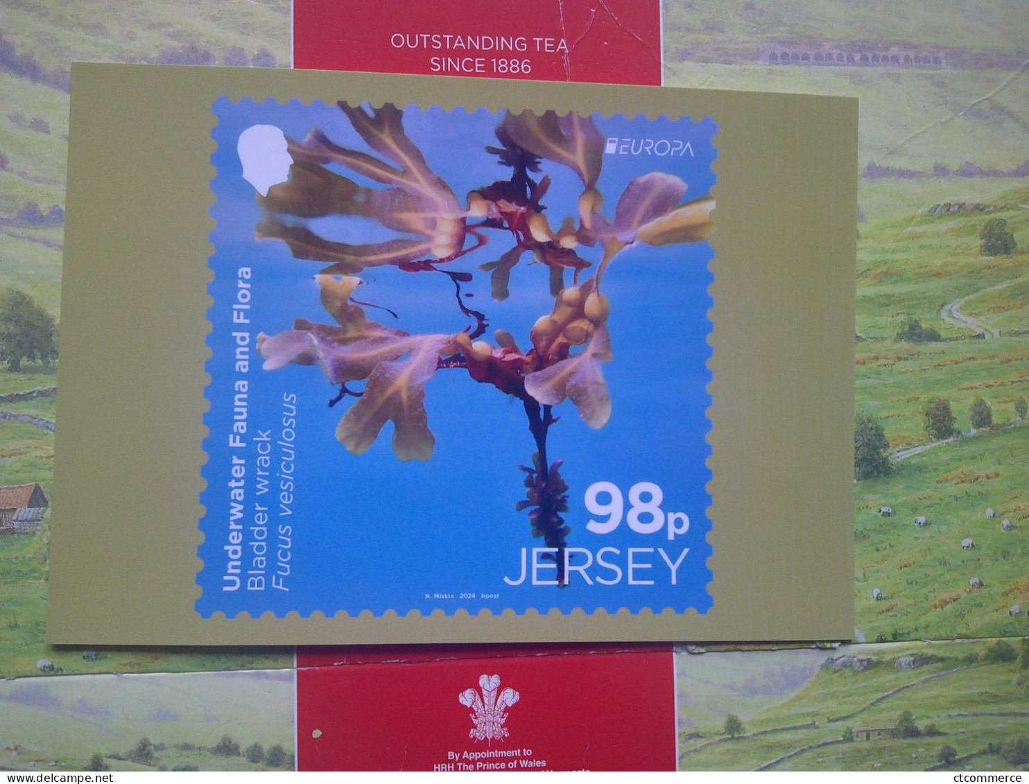 Jersey, 9 cartes, postale, underwater fauna & flora, la faune et la flore sous-marines,