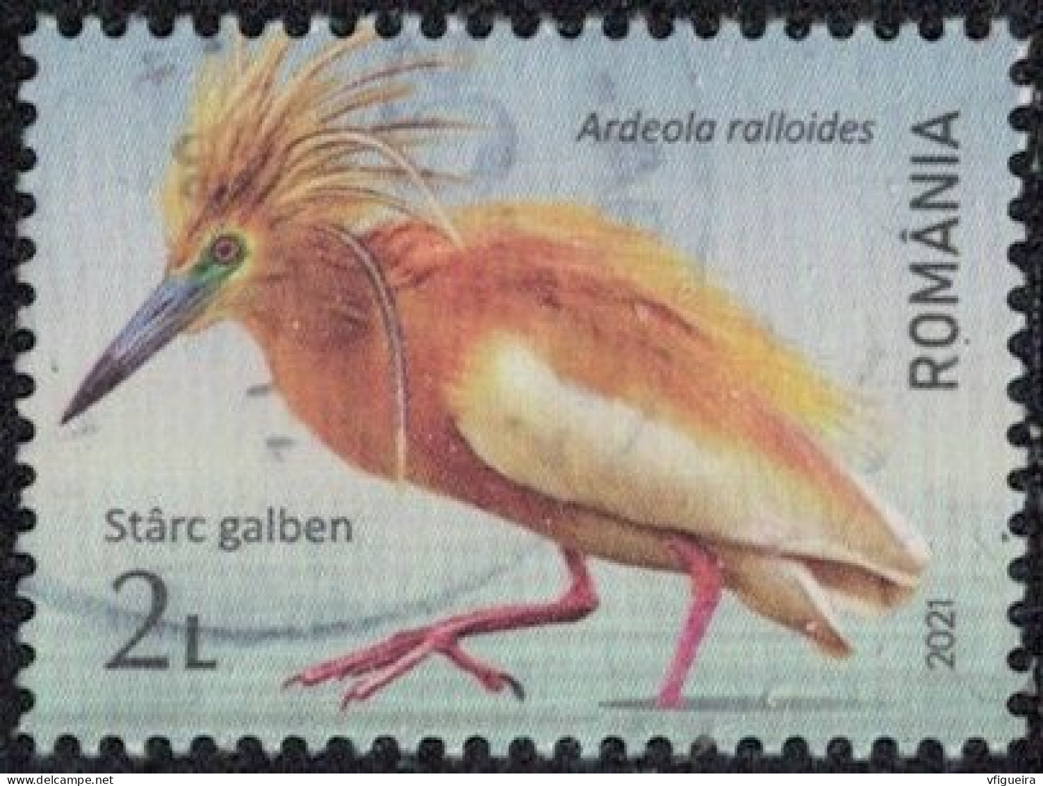 Roumanie 2021 Oblitéré Used Oiseau Ardeola Ralloides Crabier Chevelu Y&T RO 6674 SU - Used Stamps