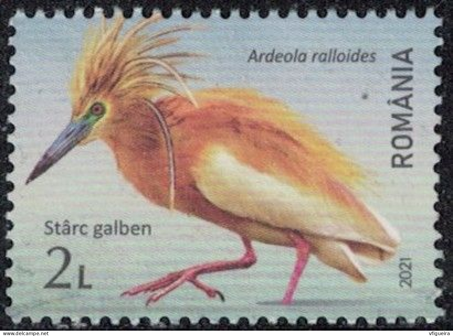 Roumanie 2021 Used Oiseau Ardeola Ralloides Crabier Chevelu Y&T RO 6674 SU - Used Stamps