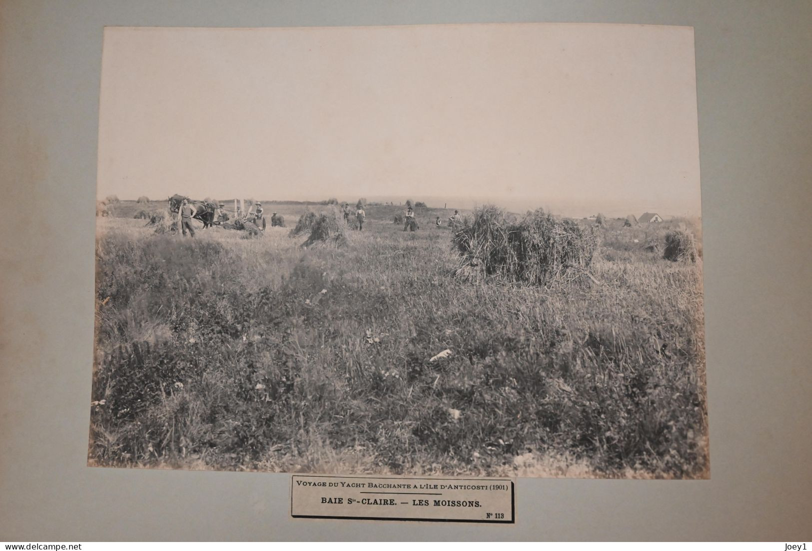 Anticosti ,l'Album photo qui raconte l histoire de l'ile d ' Anticosti après l achat de l ile par Henri Menier en 1895