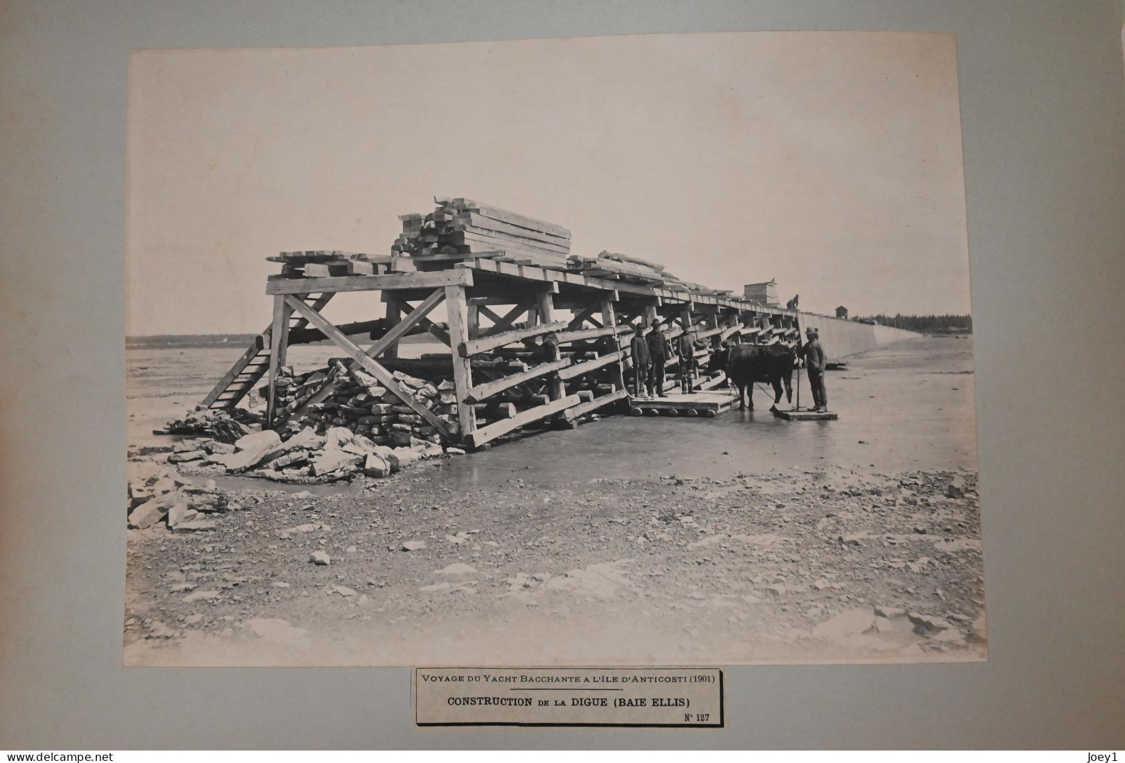 Anticosti ,l'Album photo qui raconte l histoire de l'ile d ' Anticosti après l achat de l ile par Henri Menier en 1895