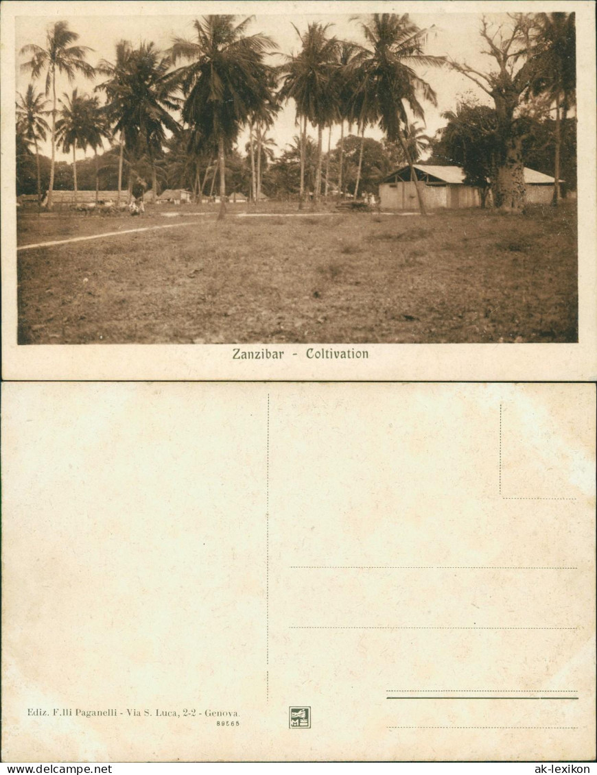 Sansibar Zanzibar زنگبار‎ Coltivation - Tansania Tanzania 1931 - Tanzanie