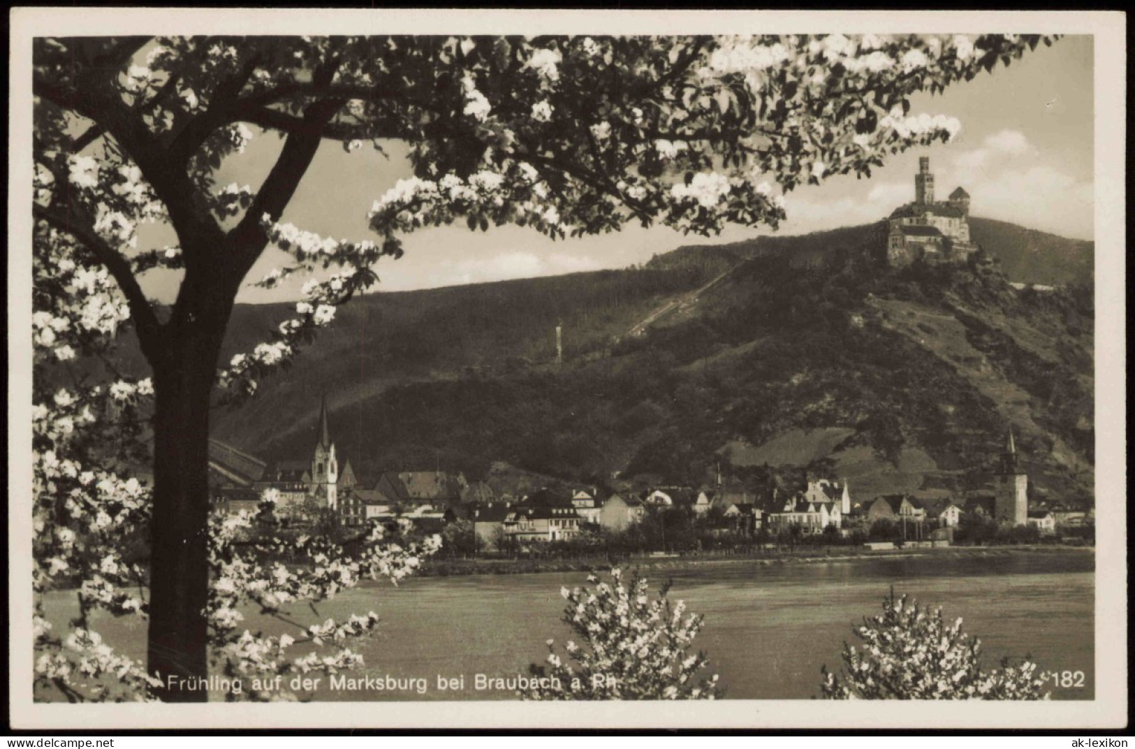 Braubach Marksburg, Rhein Partie, Frühlings-Blüten Am Baum 1934 - Braubach