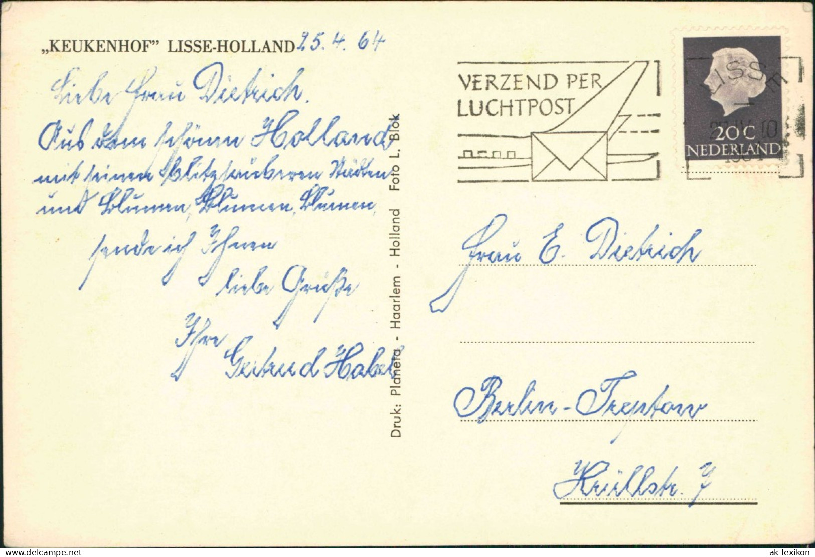Postkaart Lisse KEUKENHOF LISSE-HOLLAND, Blumen & Pflanzen 1964 - Lisse