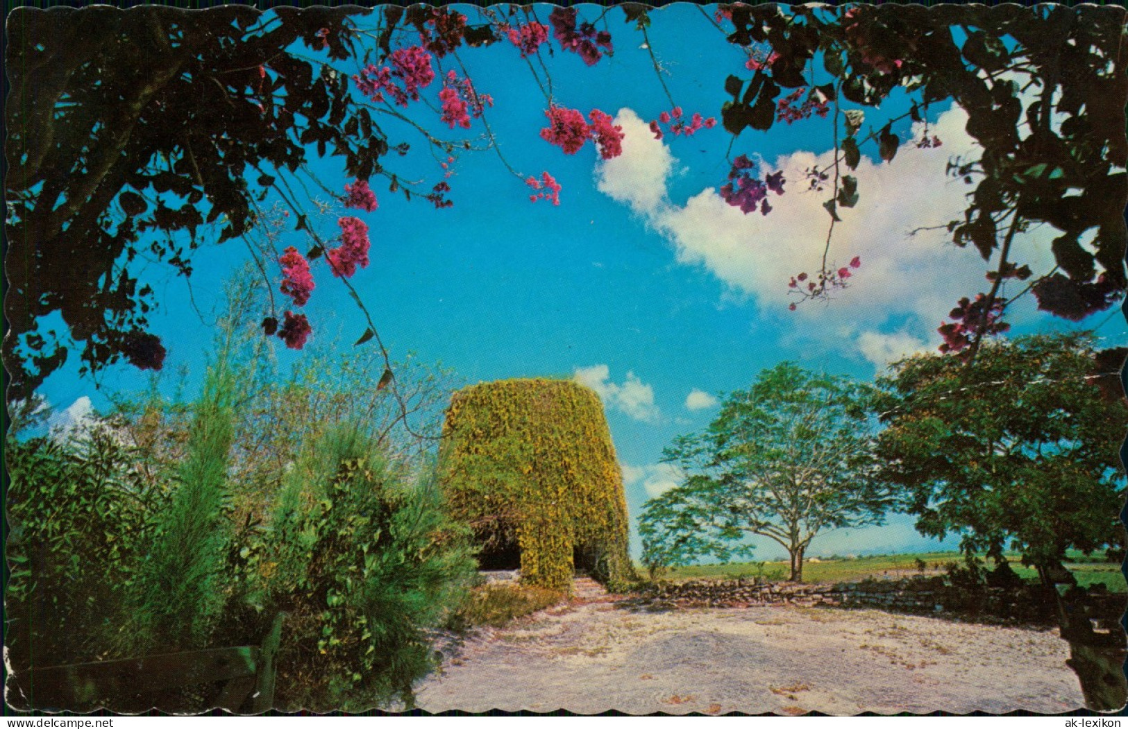 Barbados Allgemein HUSBAND'S PLANTATIONS Barbados, West Indies 1968 - Barbades