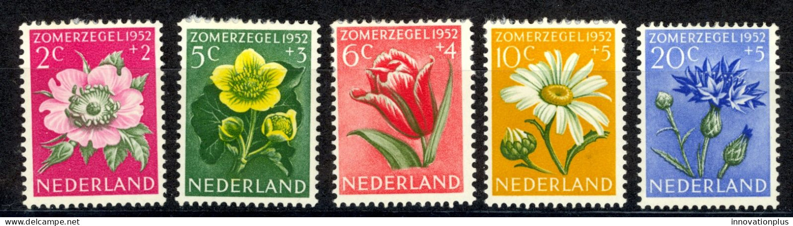 Netherlands Sc# B238-B242 MH 1952 Flowers - Nuevos