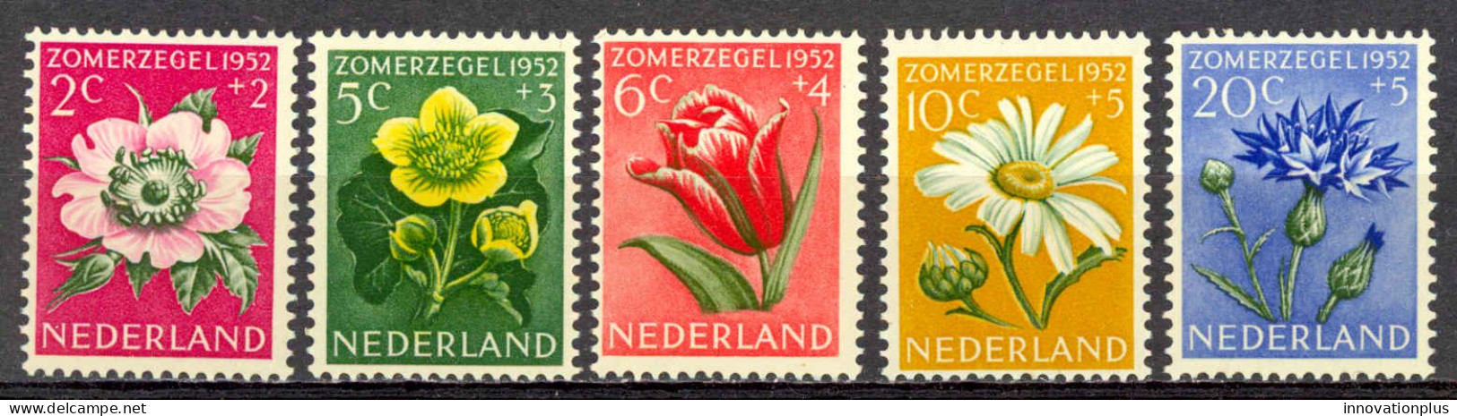 Netherlands Sc# B238-B242 MNH 1952 Flowers - Ongebruikt