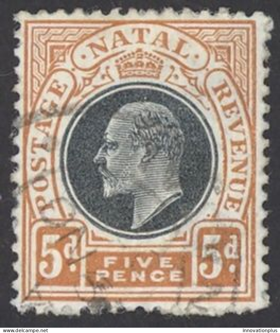 Natal Sc# 105 Used 1908 5p King Edward VII - Natal (1857-1909)