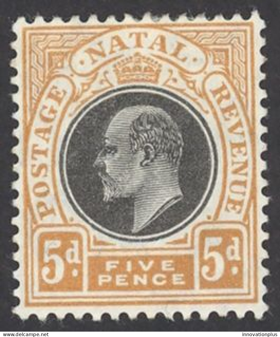 Natal Sc# 105 MH 1908 5p King Edward VII - Natal (1857-1909)