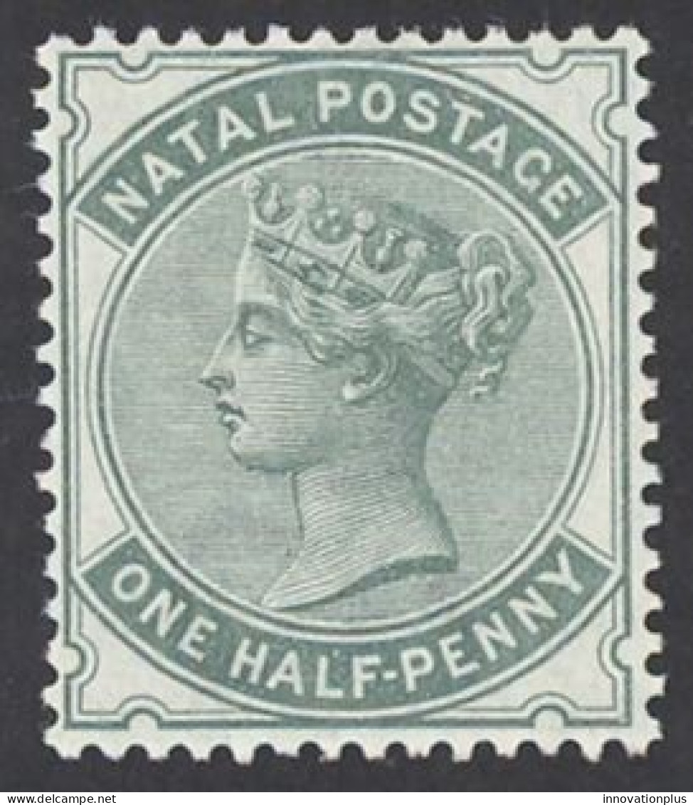 Natal Sc# 66 MH (b) 1884 ½p Gray Green Queen Victoria - Natal (1857-1909)