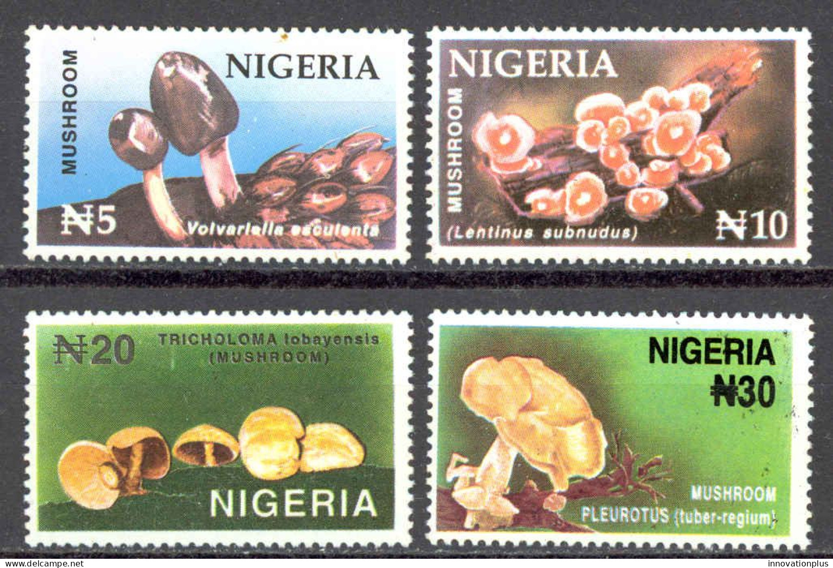 Nigeria Sc# 676-679 MNH 1996 Mushrooms - Nigeria (1961-...)