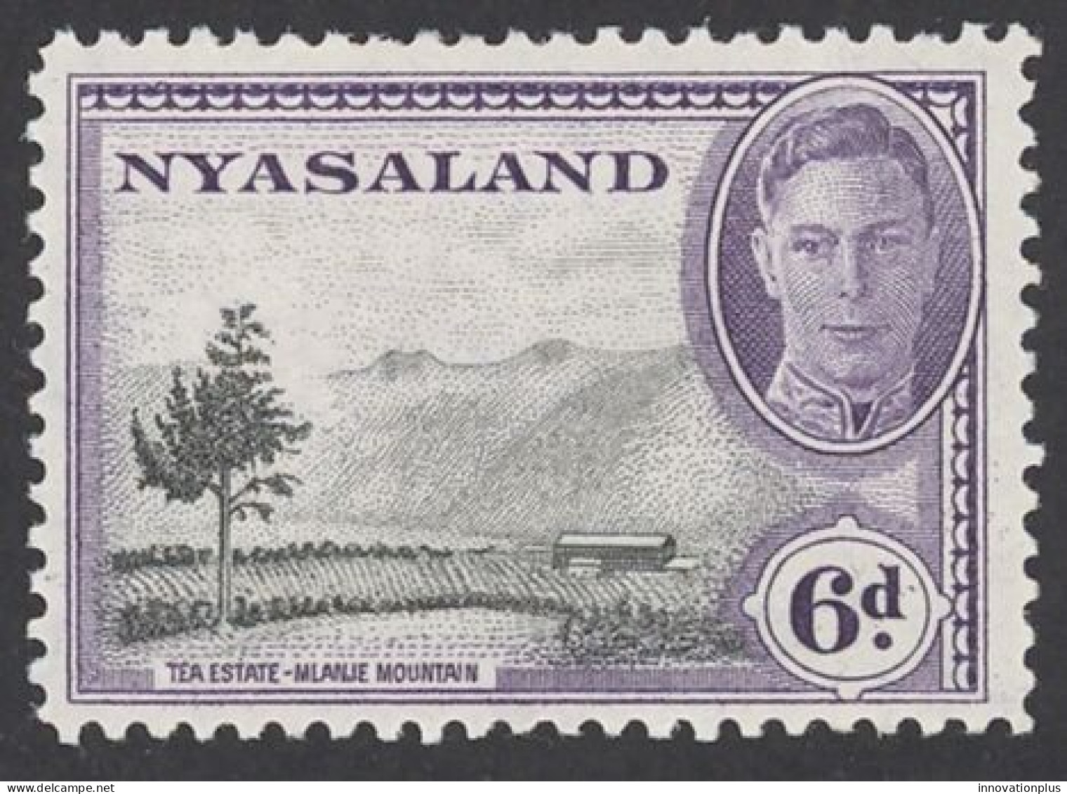 Nyasaland Protectorate Sc# 74 MH (a) 1945 6p King George VI Definitives - Nyassaland (1907-1953)