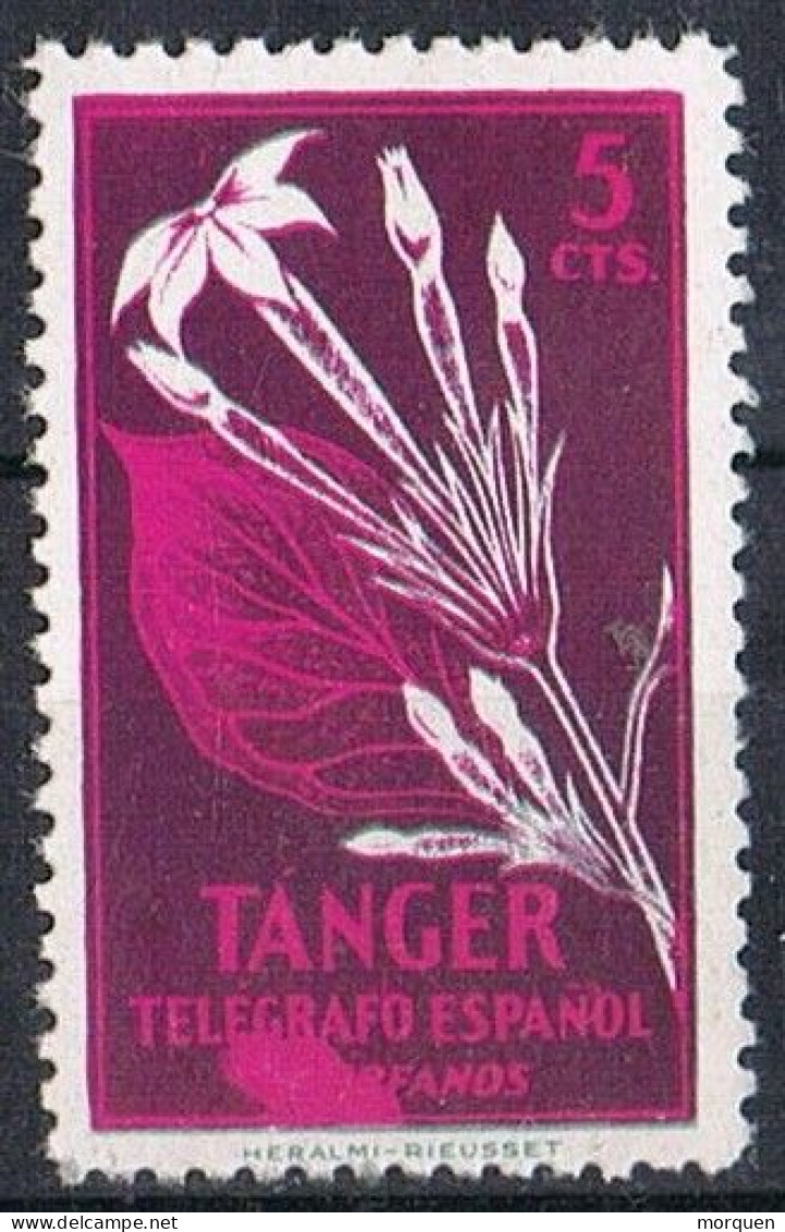 Sello 5 Cts TANGER, Beneficencia, VARIEDAD Impresion, Mancha Color ** - Maroc Espagnol