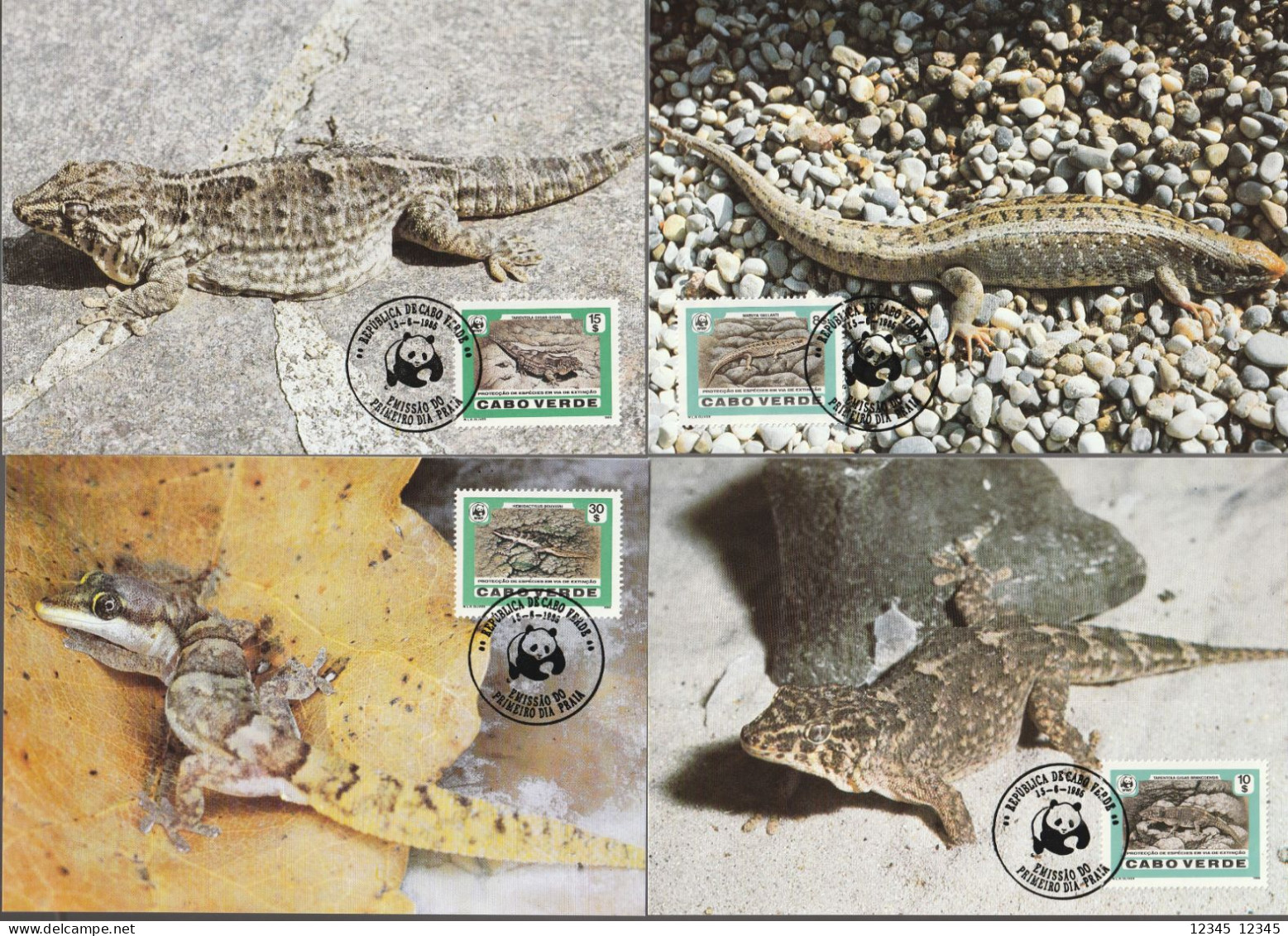 Kaapverdië 1986, Maximum Cards Unused, WWF, Geckos And Skinks - Cape Verde