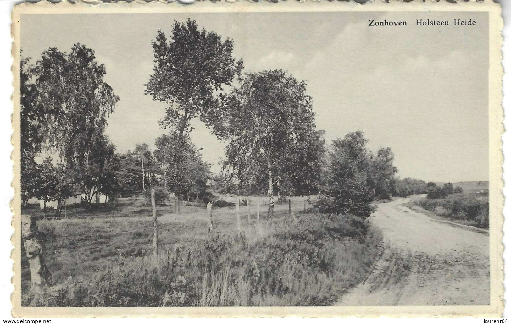 ZONHOVEN.  HOLSTEEN HEIDE. - Zonhoven